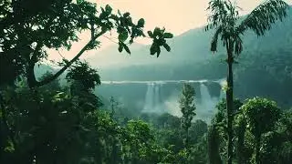 World Wetlands Day 2025