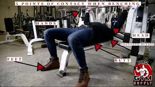 How to Bench Properly (5 Points of Contact)