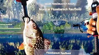 Flussbarsch Raufbold Guide/Fisching Planet/German