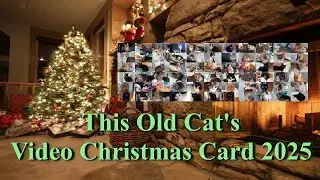 Video Christmas Card 2025 The Sunshine Home at This Old Cat