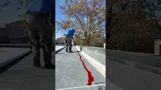 Single ply roofing system