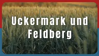 Ein Wochenende zwischen Uckermark und Feldberg (Atmosphärischer Film) [Sony a7 IV + Kinefinity] 