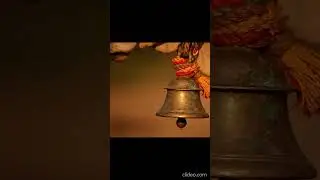 the sound of a sacred bell in india 🔔#shorts #india #templebell #sacredsounds #meditation