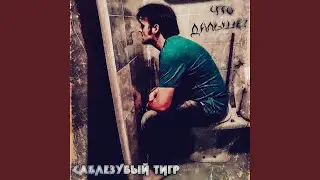 Портфолио