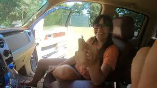 2011-2013 Ford F150 Turn Signal Switch Replacement: Windshield Wipers Stuck On?