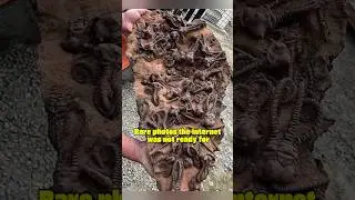 Редкие фотографии, которые вас ПОРАЗЯТ | Часть 86