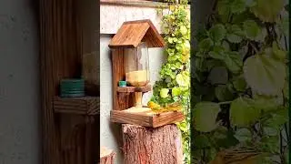 This Is Very Useful for bird feeding
