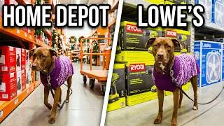 My Dog Phryne&rsquo;s Epic Adventure at Home Depot & Lowe&rsquo;s!