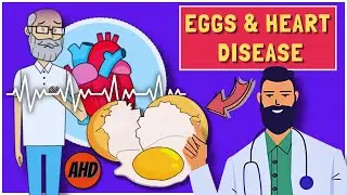 DOES EATING EGGS INCREASE YOUR RISK OF HEART DISEASE? - A DOCTOR EXPLAINS