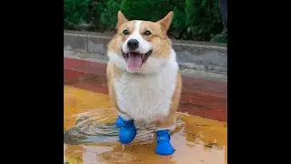 Waterproof anti-skid pet dog silicone rain boots