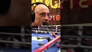 Joe Rogan on Fake Boxing Match 😅
