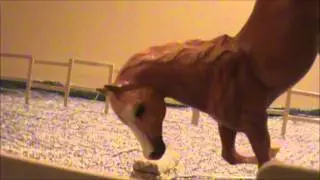 'Love at First Sight' - Part 1 (Breyer horse movie)