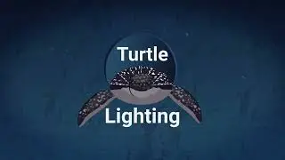 Turtle Friendly Lighting