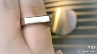 Leve Flat Signet Ring, Mens Ring, Wedding Band, Rings for Men, 2020-102