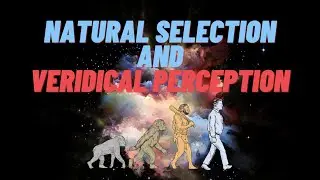 Donald Hoffman Paper Review on Natural Selection and Veridical Perceptions