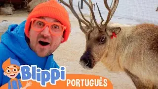 Blippi Passa o Natal com as Renas! | Blippi em Português | Vídeos Educativos para Crianças