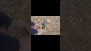 Mini Pole Saw Demonstration  #diy #lawncare #tools