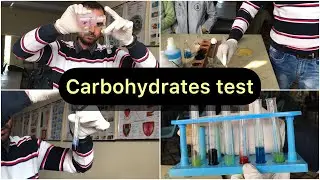 how to test carbohydrates || #carbohydrate #test #Fehling test