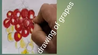 @Drawing of Grapes 🍇 | Easy Step-by-Step Fruit Drawing for Beginners