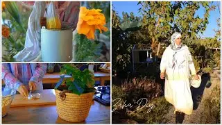 Vivre lentement dans une maison de campagne/peinture végétale/cuisine/couture