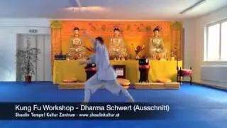 Kung Fu Workshop Dharma Schwert (Ausschnitt)