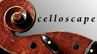 Dotzauer - 113 etudes for cello N. 36 Aurelio Bertucci