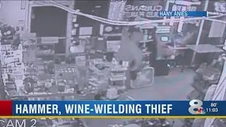 Bungling burglar steals nothing after crashing through glass door in Clearwater