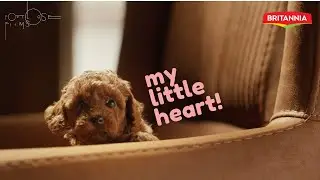 Britannia - Little Hearts