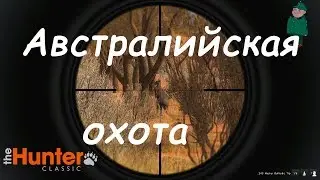 theHunter Classic. Охота на кенгуру и кабанов.