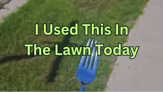 Worst Part Of Warm Season Lawn Care + Stolon Comparison & Edging