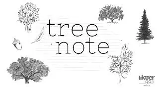 Street Fairs | TreeNote | KUER Podcasts