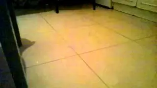 2014 09 16 24541
