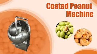 Industrial Coated Peanut Machines for Various Snack Making