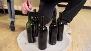 Auto siphon