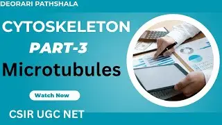 Microtubules (Detailed Explanation)| Cytoskeleton Part -3 | Cell biology| CSIR NET JRF | GATE