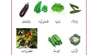 Learn Arabic Fundamentally | Lesson 8 Book 1
