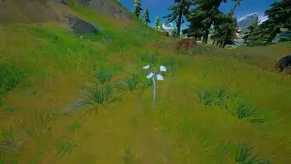 Plan Sapling at Stumpy Ridge, Fork knife Food Truck or FN Radio - Fortnite