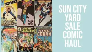 Sun City Yard Sale Comic Haul
