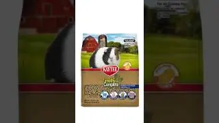 Everything you need for your new guinea pig