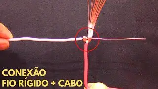 PERFEITA CONEXÃO - FIO RÍGIDO + CABO FLEXÍVEL / (CONEXIÓN PERFECTA - ALAMBRE DURO + CABLE FLEXIBLE )