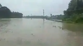 Kudallur Today 10.08.2019.11.am