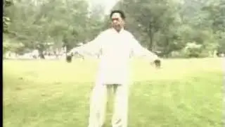 KOU-陳式心意混元太極拳48式(馮志強)