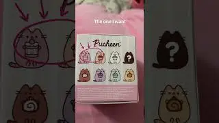Pusheen blind box #pusheen #pusheenthecat #pusheencat #blindbox #blindbag #unboxing #kawaii #cute