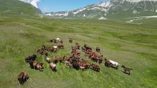Campo Imperatore, Abruzzo