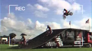 Bolddog Lings at the 2014 Dorset County Show