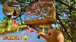 🥇 OLHA O QUE ESSE SIBITE SOLTO FAZ ! 🔥 o seu vai ficar fogoso 🔥