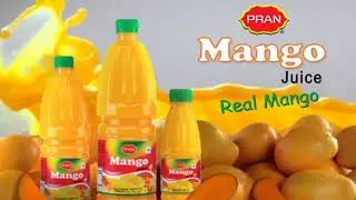 PRAN Mango Juice