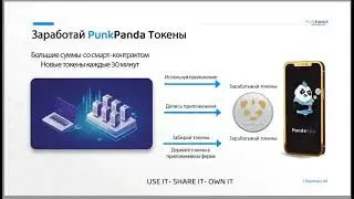 #PunkPanda Презентация Punk Panda Новый Мессенджер который платит
