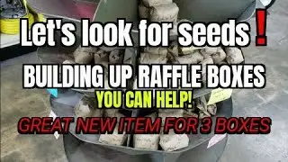 Seeds Mailed to Sniping Rhino Ranch and Local Seed Availablity - Building 3 Raffle Boxes.