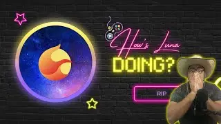 #Terra #Luna crashing! Classic is the way to go? #Crypto